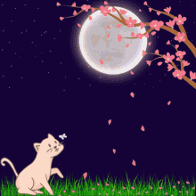 Night Moon GIF - Night Moon Sakura GIFs
