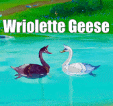Wriolette Wriolette Geese GIF - Wriolette Wriolette Geese Neuvillette GIFs