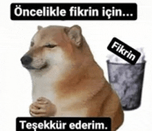 a dog is sitting next to a trash can and a sign that says `` öncelikle fikrin için ... teşekkür ederim '' .