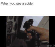 Spider See GIF - Spider See Scary GIFs