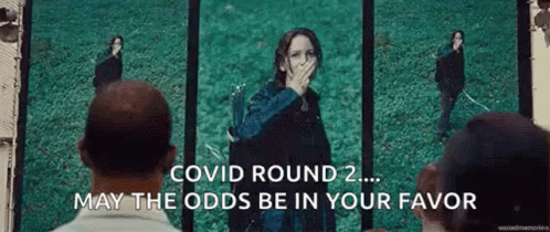 may the odds be ever in your favor gif
