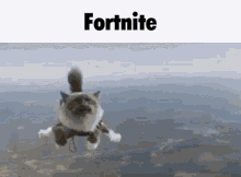 Fortnite Cat GIF - Fortnite Cat Fortnite Cat GIFs