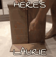 heres laurie cat open box knock