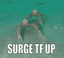 Surge Surging GIF