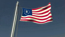 an american flag with a crown on it