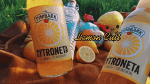 Lemon Cult Aidansarmy GIF - Lemon Cult Aidansarmy Lemons GIFs