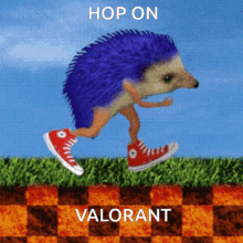 hop on valorant valorant hedgehog sonic sanic