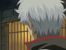 a close up of a person 's head with gray hair and a red collar