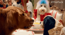 a dog licking another dog 's face while sitting at a table with #thepack written on the bottom of the image
