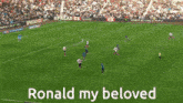a soccer field with the words ronald my beloved
