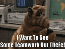 Alf Teamwork GIF - Alf Teamwork I Want To See Some Teamwork Out There GIFs
