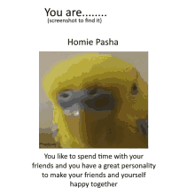 Fortune Of Pasha GIF