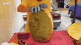 Jackfruit Open GIF