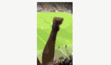 a man in a stadium with a shirt that says ' fc ' on it