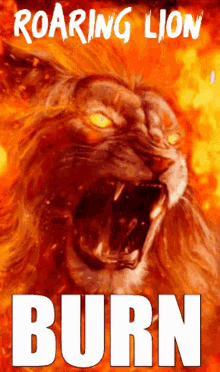 Roaring Lion Defi Lion Token GIF - Roaring Lion Defi Lion Token Xlion Token GIFs