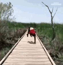 Tumbling People Are Awesome GIF