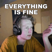 Everything Is Fine Av GIF - Everything Is Fine Av Everything Is Okay GIFs