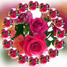 καλημερα Rose GIF - καλημερα Rose Flower GIFs