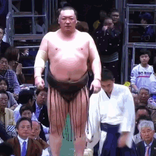 Sumo Japan GIF