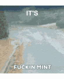 mint its fucking mint road