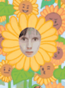 Sunflower Happy GIF - Sunflower Happy Flower GIFs