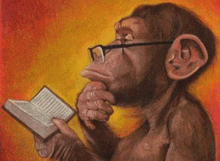a chimpanzee with glasses is reading a book .