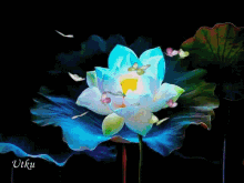Flowers Changing Colors GIF