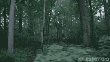 Run Running GIF - Run Running Forest GIFs