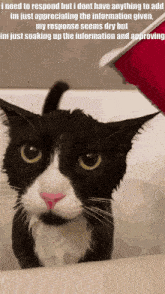 a black and white cat in a bathtub with a caption that says " i need to respond but i dont have anything to add