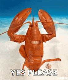 lobster yes happy excited cant wait