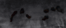 a scary clown with a red nose and sharp teeth is shown in a dark room