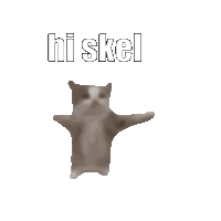 Skel Cat Sticker