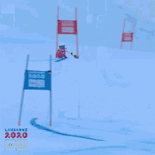 skiing youth olympic games alpine skiing giant slalom ski