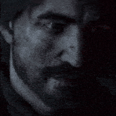 a close up of a man 's face with a beard and mustache