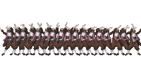 a group of men are standing in a row and one of them is laying on the ground