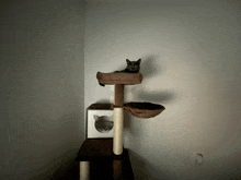 Cute GIF - Cute GIFs