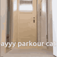 Parkour Cat GIF - Parkour Cat Funny GIFs