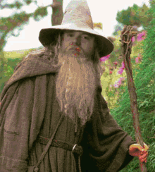 Great Wizard Gaybear Wizard GIF - Great Wizard Gaybear Wizard Wizard GIFs