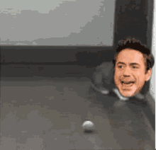 Robert Downey Jr Rdj GIF - Robert Downey Jr Rdj Cat GIFs