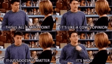 joey friends it just doesnt matter its moo its like a cows opinion