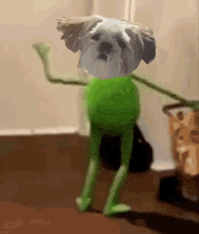 Kermit Dog GIF - Kermit Dog Amazing GIFs