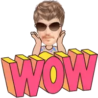 a cartoon of a man wearing sunglasses with the word wow in the background