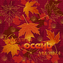 autumn leaves on a red background with the word autumn in gold