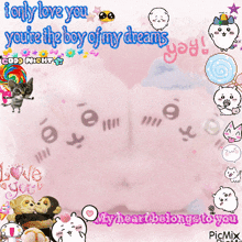 a pink background with the words i only love you you 're the boy of my dreams and my heart belongs to you