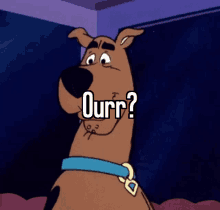 Scooby Ourr GIF - Scooby Ourr Question GIFs