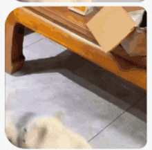a dog is sitting on the floor next to a table .