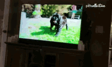 Watching Tv Concentrated GIF - Watching Tv Concentrated Focused GIFs