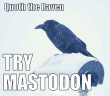 Mastodon Migrule GIF - Mastodon Migrule Fediverse GIFs