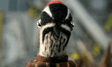 a close up of a stuffed bird with a red crest