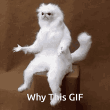 Why GIF - Why GIFs